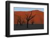 Dead Vlei Namib Desert Namibia-Nosnibor137-Framed Photographic Print