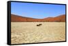 Dead Vlei Namibia-mezzotint-Framed Stretched Canvas