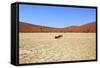 Dead Vlei Namibia-mezzotint-Framed Stretched Canvas