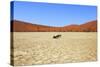 Dead Vlei Namibia-mezzotint-Stretched Canvas