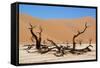 Dead Vlei Namibia-Twentytwo-Framed Stretched Canvas