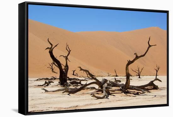 Dead Vlei Namibia-Twentytwo-Framed Stretched Canvas