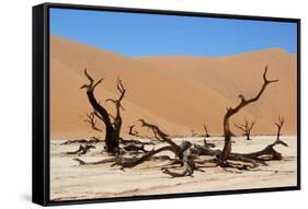 Dead Vlei Namibia-Twentytwo-Framed Stretched Canvas