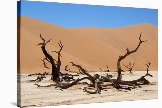 Dead Vlei Namibia-Twentytwo-Stretched Canvas