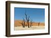 Dead Vlei Namibia-mezzotint-Framed Photographic Print