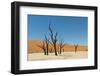 Dead Vlei Namibia-mezzotint-Framed Photographic Print