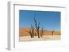 Dead Vlei Namibia-mezzotint-Framed Photographic Print