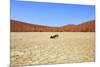 Dead Vlei Namibia-mezzotint-Mounted Photographic Print