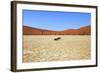 Dead Vlei Namibia-mezzotint-Framed Photographic Print