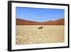 Dead Vlei Namibia-mezzotint-Framed Photographic Print