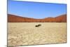 Dead Vlei Namibia-mezzotint-Mounted Photographic Print