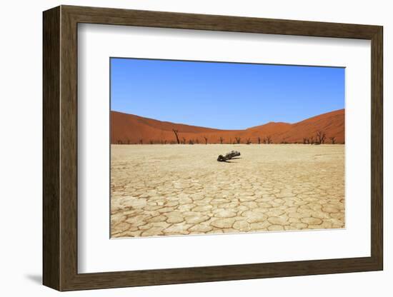 Dead Vlei Namibia-mezzotint-Framed Photographic Print