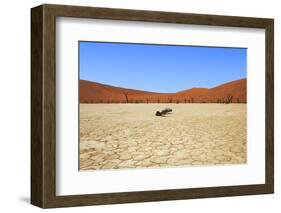 Dead Vlei Namibia-mezzotint-Framed Photographic Print