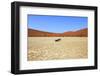 Dead Vlei Namibia-mezzotint-Framed Photographic Print