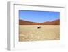 Dead Vlei Namibia-mezzotint-Framed Photographic Print