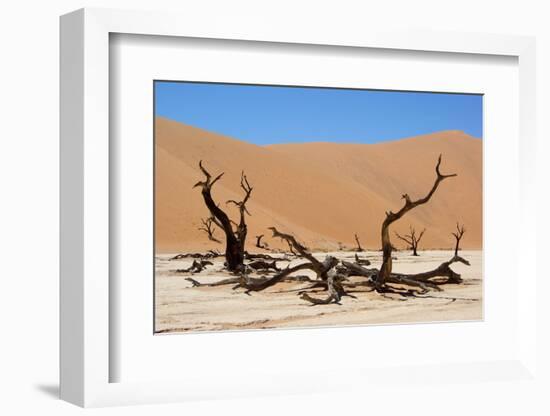 Dead Vlei Namibia-Twentytwo-Framed Photographic Print