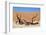 Dead Vlei Namibia-Twentytwo-Framed Photographic Print