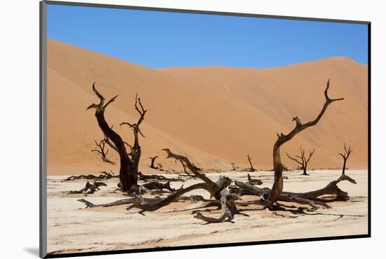 Dead Vlei Namibia-Twentytwo-Mounted Photographic Print