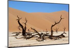 Dead Vlei Namibia-Twentytwo-Mounted Photographic Print