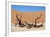 Dead Vlei Namibia-Twentytwo-Framed Photographic Print