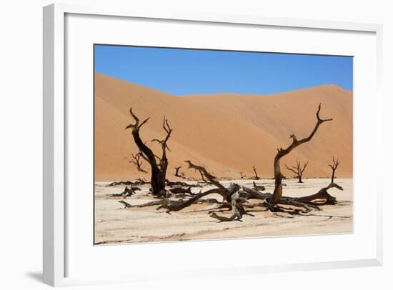 Dead Vlei Namibia-Twentytwo-Framed Photographic Print