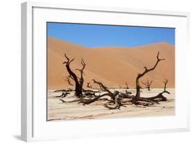 Dead Vlei Namibia-Twentytwo-Framed Photographic Print