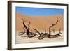 Dead Vlei Namibia-Twentytwo-Framed Photographic Print