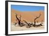 Dead Vlei Namibia-Twentytwo-Framed Photographic Print