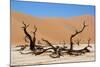 Dead Vlei Namibia-Twentytwo-Mounted Photographic Print