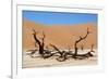 Dead Vlei Namibia-Twentytwo-Framed Photographic Print