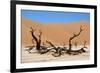 Dead Vlei Namibia-Twentytwo-Framed Photographic Print