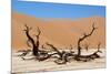 Dead Vlei Namibia-Twentytwo-Mounted Photographic Print