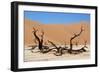 Dead Vlei Namibia-Twentytwo-Framed Photographic Print