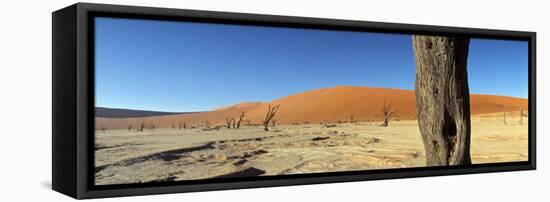 Dead Vlei Salt Pan, Sossusvlei, Namibia-Otto Bathurst-Framed Stretched Canvas