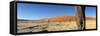 Dead Vlei Salt Pan, Sossusvlei, Namibia-Otto Bathurst-Framed Stretched Canvas