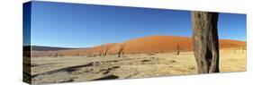 Dead Vlei Salt Pan, Sossusvlei, Namibia-Otto Bathurst-Stretched Canvas