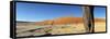 Dead Vlei Salt Pan, Sossusvlei, Namibia-Otto Bathurst-Framed Stretched Canvas