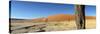 Dead Vlei Salt Pan, Sossusvlei, Namibia-Otto Bathurst-Stretched Canvas