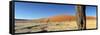 Dead Vlei Salt Pan, Sossusvlei, Namibia-Otto Bathurst-Framed Stretched Canvas