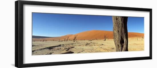 Dead Vlei Salt Pan, Sossusvlei, Namibia-Otto Bathurst-Framed Photographic Print