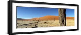 Dead Vlei Salt Pan, Sossusvlei, Namibia-Otto Bathurst-Framed Photographic Print