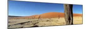 Dead Vlei Salt Pan, Sossusvlei, Namibia-Otto Bathurst-Mounted Photographic Print