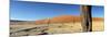 Dead Vlei Salt Pan, Sossusvlei, Namibia-Otto Bathurst-Mounted Photographic Print