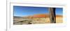 Dead Vlei Salt Pan, Sossusvlei, Namibia-Otto Bathurst-Framed Photographic Print