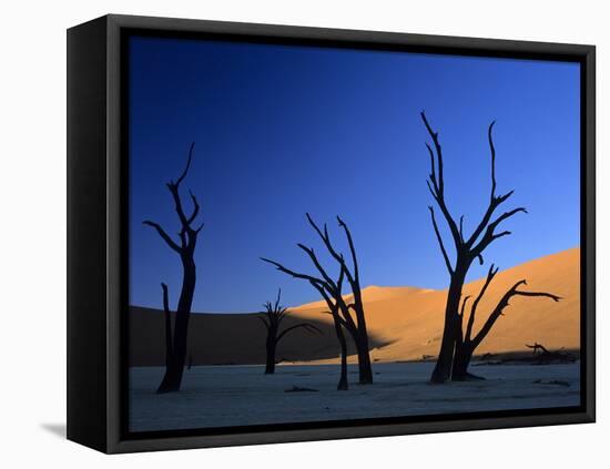 Dead Vlei Silhouettes of Dead Camelthorn Trees in Dune-null-Framed Stretched Canvas