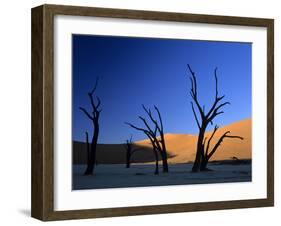 Dead Vlei Silhouettes of Dead Camelthorn Trees in Dune-null-Framed Photographic Print