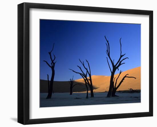 Dead Vlei Silhouettes of Dead Camelthorn Trees in Dune-null-Framed Photographic Print