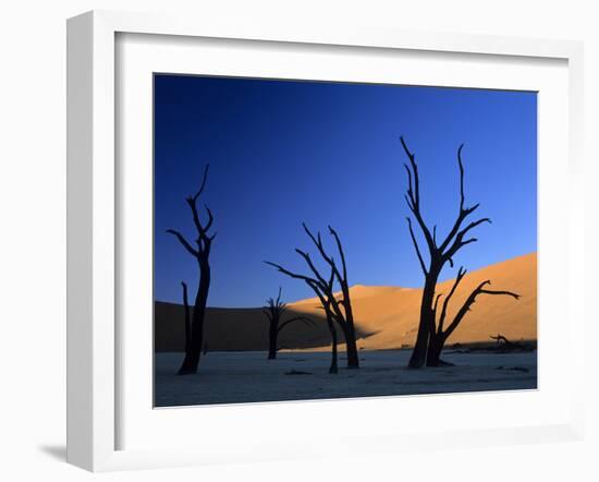 Dead Vlei Silhouettes of Dead Camelthorn Trees in Dune-null-Framed Photographic Print