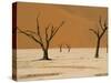 Dead Vlei, Sossusvlei Dune Field, Namib-Naukluft Park, Namib Desert, Namibia, Africa-Steve & Ann Toon-Stretched Canvas