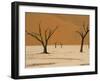 Dead Vlei, Sossusvlei Dune Field, Namib-Naukluft Park, Namib Desert, Namibia, Africa-Steve & Ann Toon-Framed Photographic Print